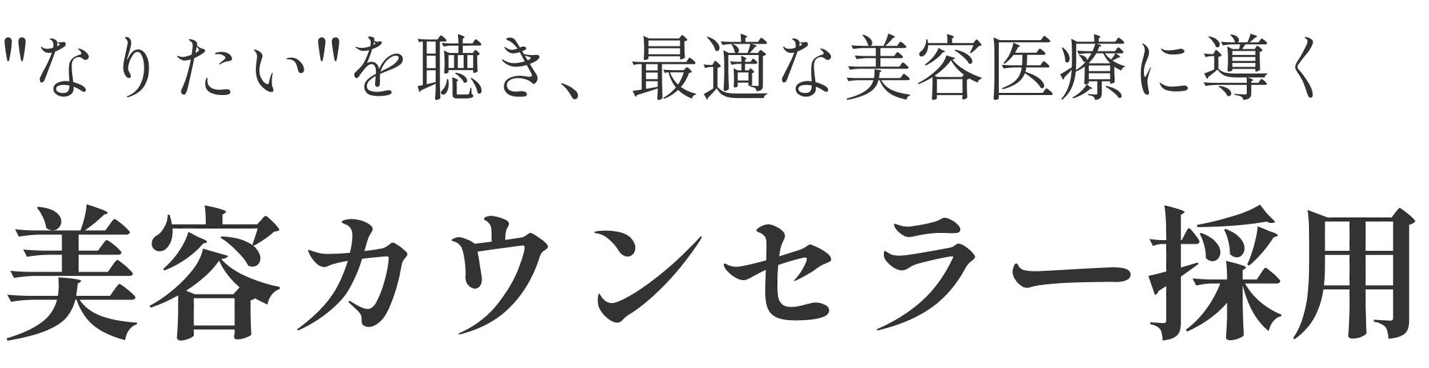 動画で出会う採用マッチング V+ing
