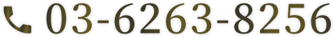 tel03-6263-8256