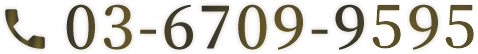 tel03-6709-9595