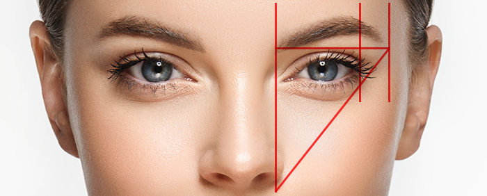 顔の骨格（黄金比率　×　デザイン）