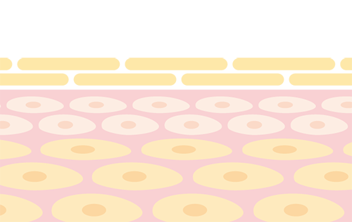 正常な肌へと変化
