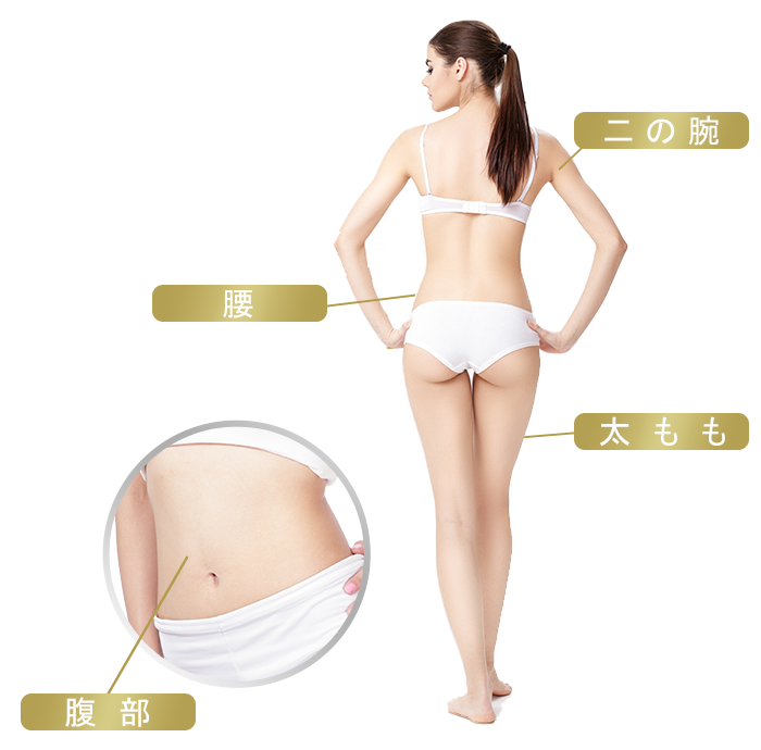 ダブロゴールド部位